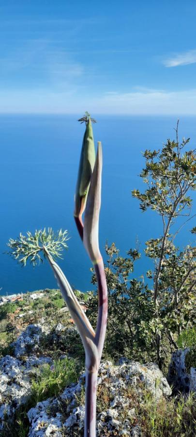 Appartamento Mare E Monti Pimonte Εξωτερικό φωτογραφία