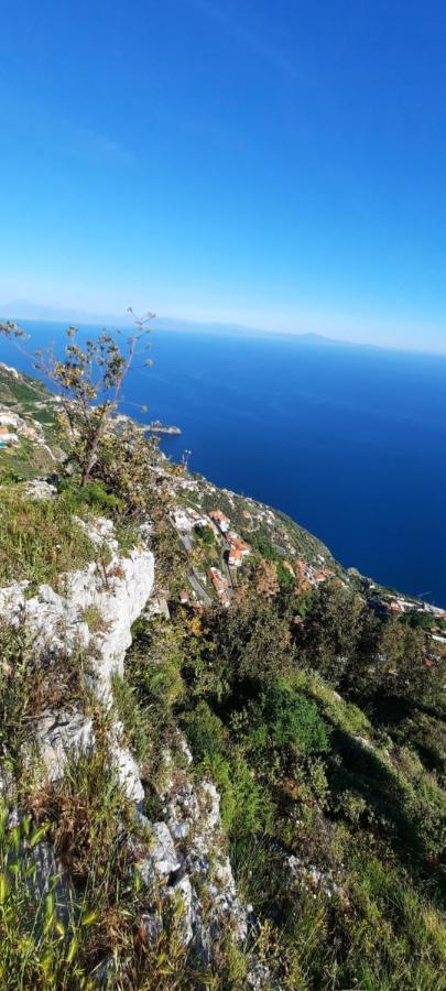 Appartamento Mare E Monti Pimonte Εξωτερικό φωτογραφία