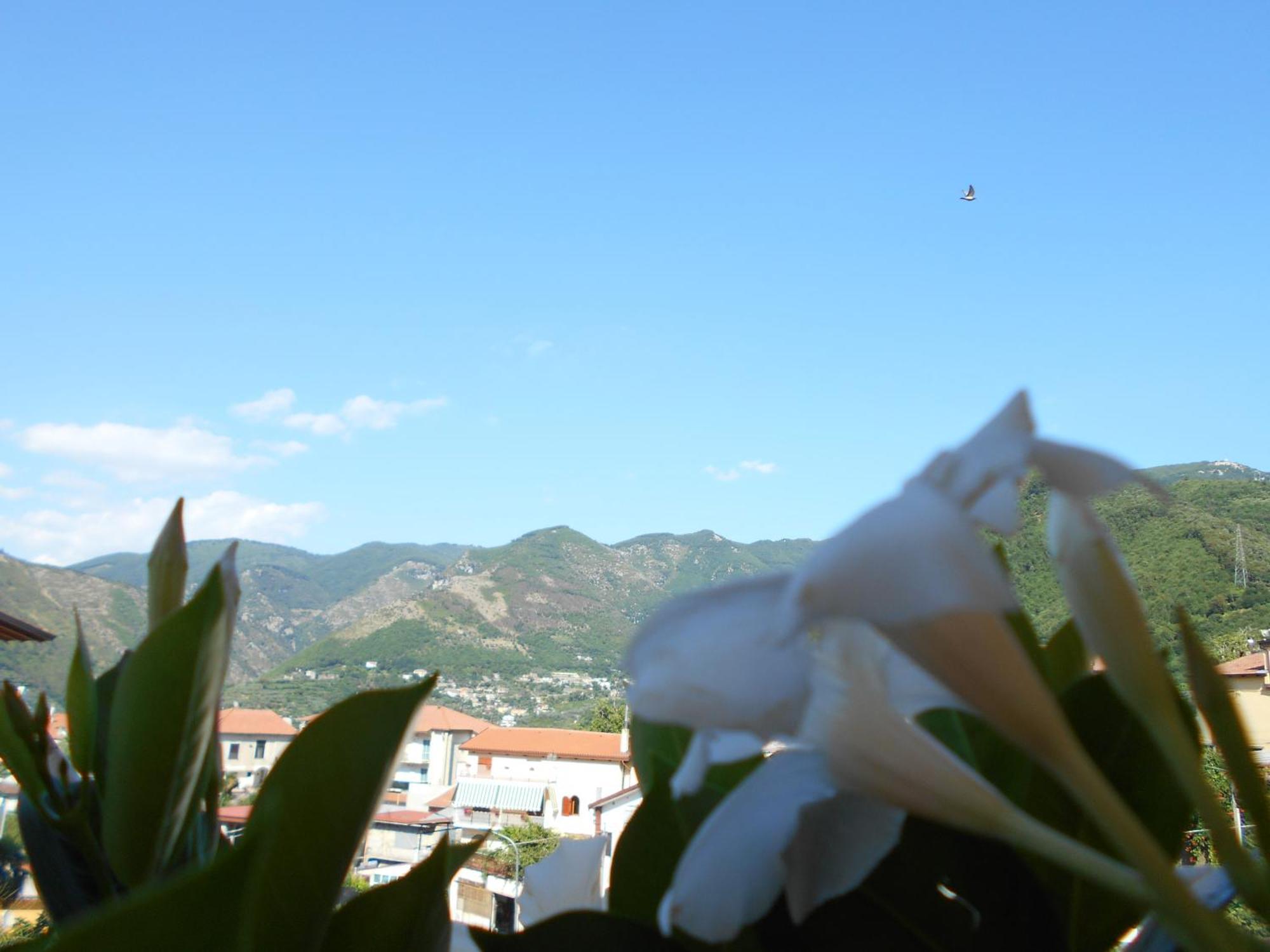 Appartamento Mare E Monti Pimonte Εξωτερικό φωτογραφία